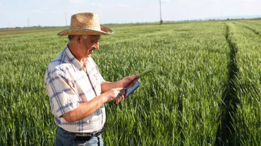 homem mexendo em smartphone em meio a plantação