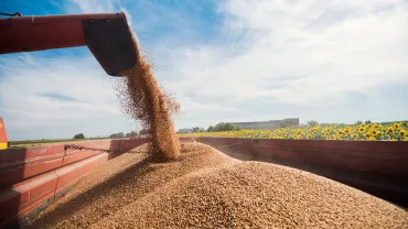 Perspectivas para gestão do agronegócio